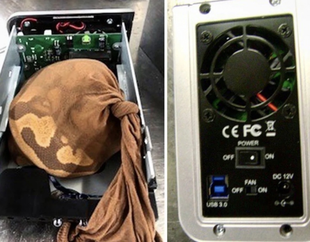 Unusual Finds At Customs (20 pics)