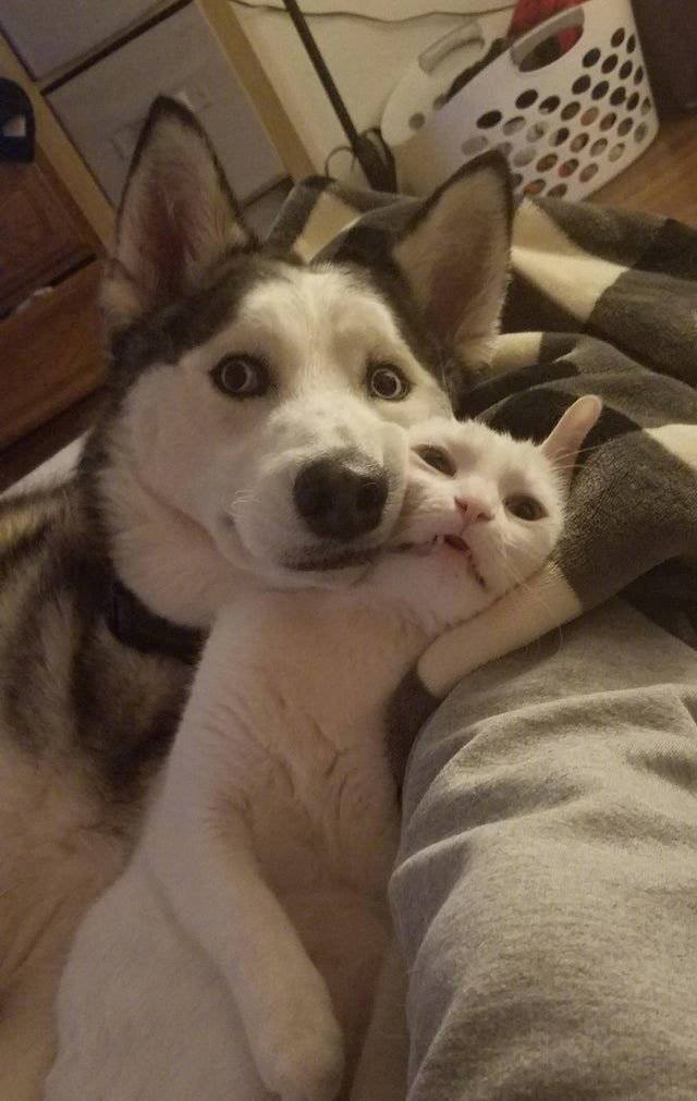 Daily Pictures. Part 1 (60 pics)