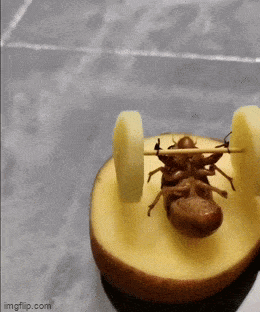 Acid GIFs, June 17 (25 gifs) Acid GIFs, June 17 (25 gifs)