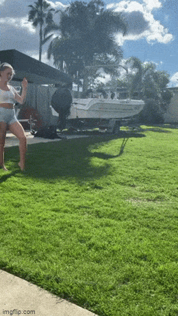 Acid GIFs, June 17 (25 gifs)
