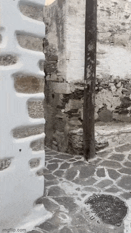 Acid GIFs, June 17 (25 gifs) Acid GIFs, June 17 (25 gifs)