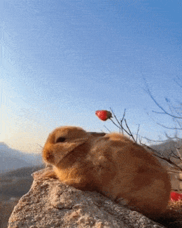 Acid GIFs, June 17 (25 gifs) Acid GIFs, June 17 (25 gifs)