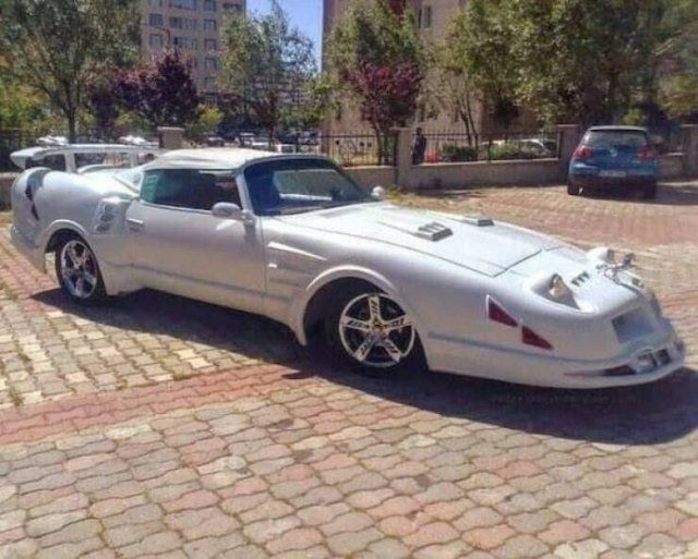Wild Vehicles (21 pics)