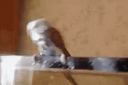 Acid GIFs, June 18 (25 gifs) Acid GIFs, June 18 (25 gifs)