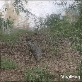 Acid GIFs, June 18 (25 gifs)