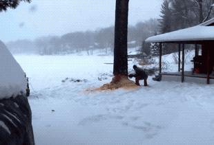 Acid GIFs, June 18 (25 gifs) Acid GIFs, June 18 (25 gifs)