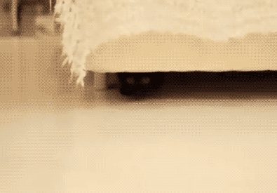 Acid GIFs, June 18 (25 gifs) Acid GIFs, June 18 (25 gifs)