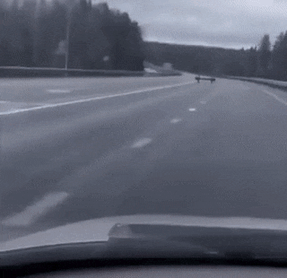 Acid GIFs, June 18 (25 gifs)