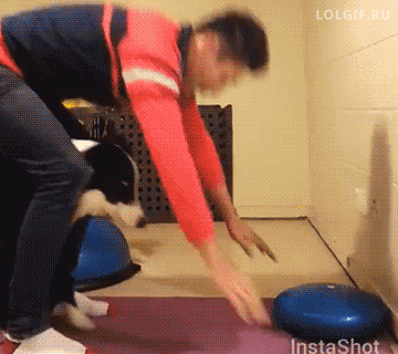 Acid GIFs, June 18 (25 gifs) Acid GIFs, June 18 (25 gifs)