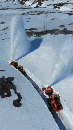 Acid GIFs, June 18 (25 gifs)