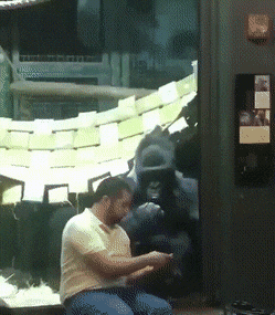 Acid GIFs, June 18 (25 gifs) Acid GIFs, June 18 (25 gifs)