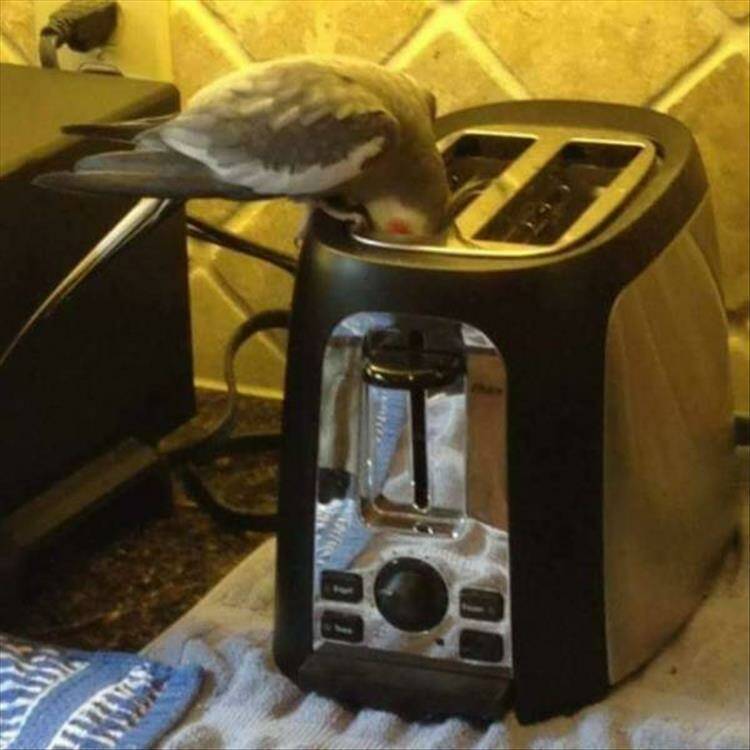 Daily Pictures. Part 2 (59 pics)