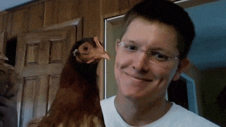 Acid GIFs, June 19 (25 gifs) Acid GIFs, June 19 (25 gifs)