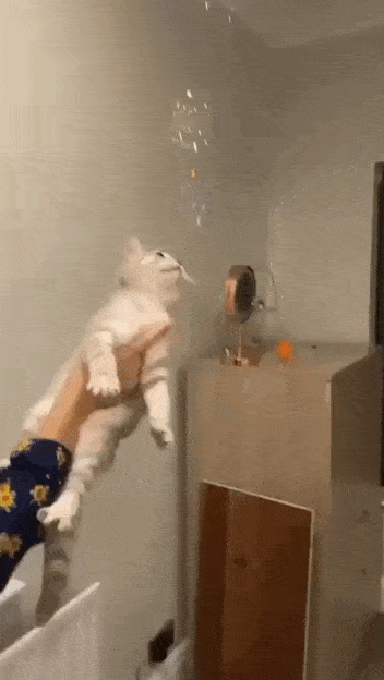 Acid GIFs, June 19 (25 gifs) Acid GIFs, June 19 (25 gifs)