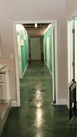 Acid GIFs, June 19 (25 gifs)