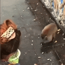 Acid GIFs, June 19 (25 gifs) Acid GIFs, June 19 (25 gifs)