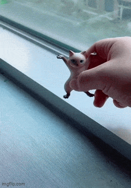 Acid GIFs, June 19 (25 gifs) Acid GIFs, June 19 (25 gifs)