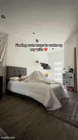 Acid GIFs, June 19 (25 gifs)