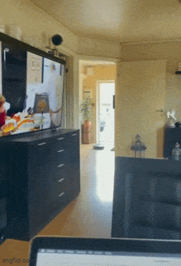 Acid GIFs, June 19 (25 gifs) Acid GIFs, June 19 (25 gifs)