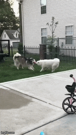 Acid GIFs, June 19 (25 gifs) Acid GIFs, June 19 (25 gifs)