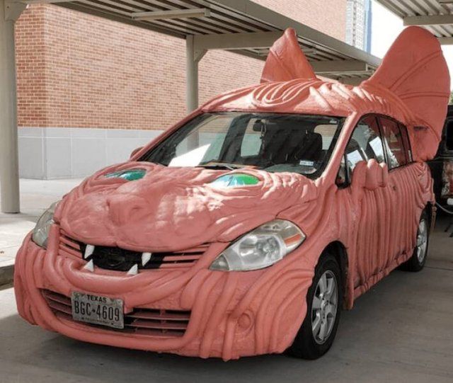 Wild Tuning (24 pics)