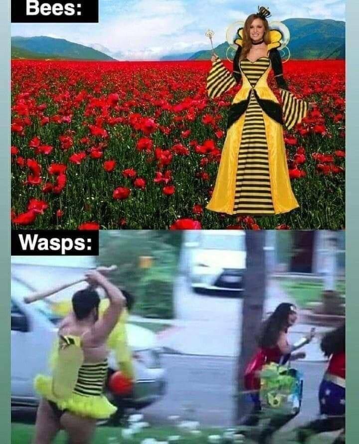 Daily Pictures. Part 2 (60 pics)