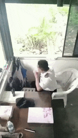 Acid GIFs, June 20 (25 gifs)
