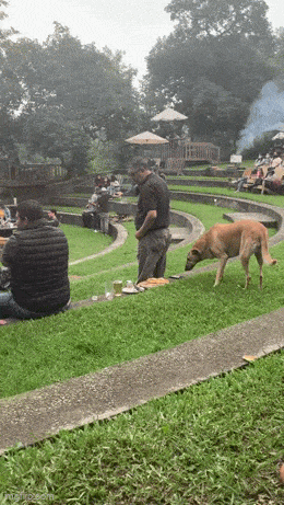 Acid GIFs, June 20 (25 gifs)