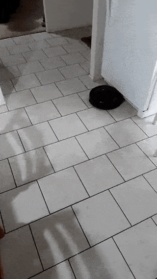 Acid GIFs, June 20 (25 gifs)
