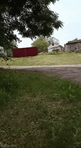 Acid GIFs, June 20 (25 gifs)