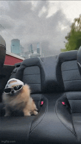 Acid GIFs, June 20 (25 gifs)