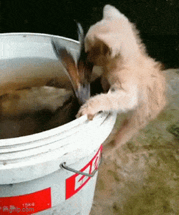 Acid GIFs, June 20 (25 gifs)