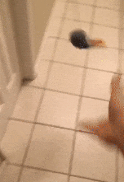 Acid GIFs, June 20 (25 gifs)