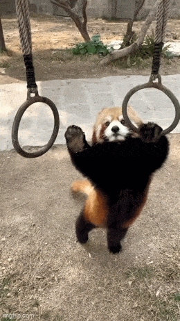 Acid GIFs, June 20 (25 gifs)