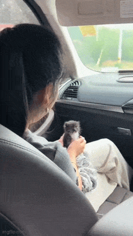 Acid GIFs, June 20 (25 gifs)