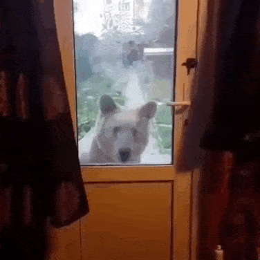 Acid GIFs, June 20 (25 gifs)