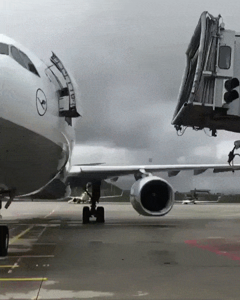 Acid GIFs, June 20 (25 gifs)