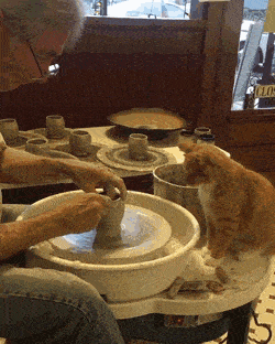 Acid GIFs, June 20 (25 gifs)