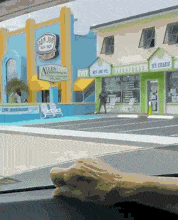 Acid GIFs, June 20 (25 gifs)
