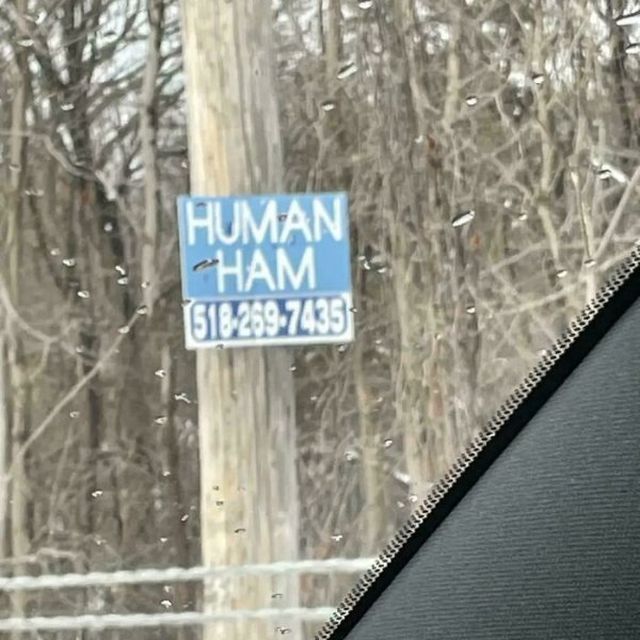 What Is Going On Here? (29 pics)