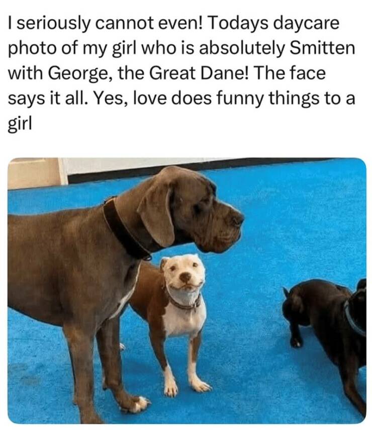 Daily Pictures. Part 2 (62 pics)