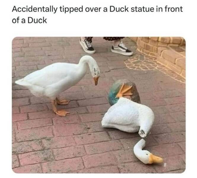 Daily Pictures. Part 2 (62 pics)