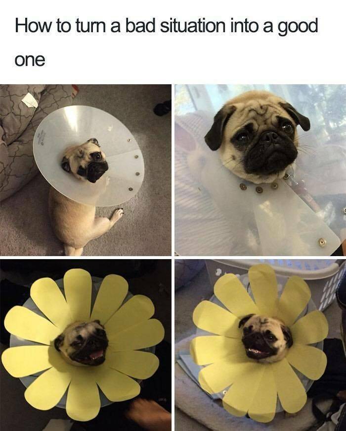 Daily Pictures. Part 2 (62 pics)