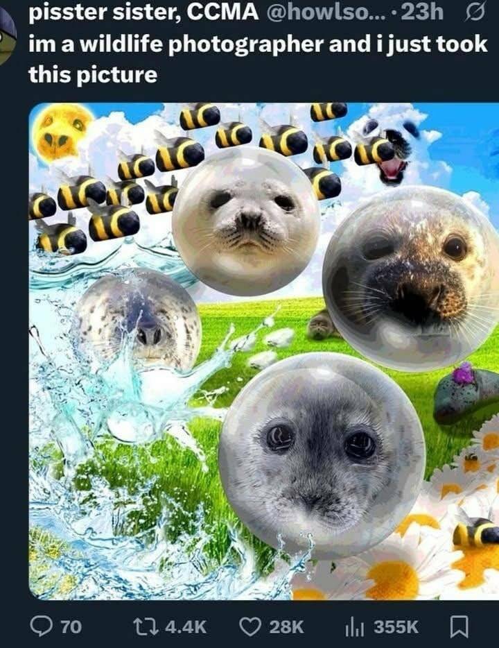 Daily Pictures. Part 2 (62 pics)