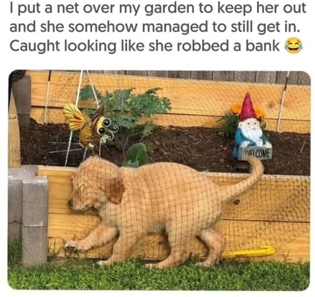 Daily Pictures. Part 2 (62 pics)