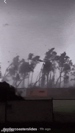 Acid GIFs, June 23 (25 gifs) Acid GIFs, June 23 (25 gifs)