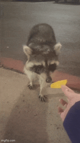 Acid GIFs, June 23 (25 gifs) Acid GIFs, June 23 (25 gifs)