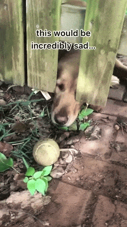 Acid GIFs, June 23 (25 gifs) Acid GIFs, June 23 (25 gifs)