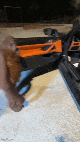 Acid GIFs, June 23 (25 gifs)