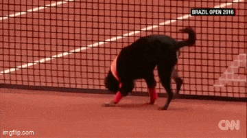 Acid GIFs, June 23 (25 gifs) Acid GIFs, June 23 (25 gifs)